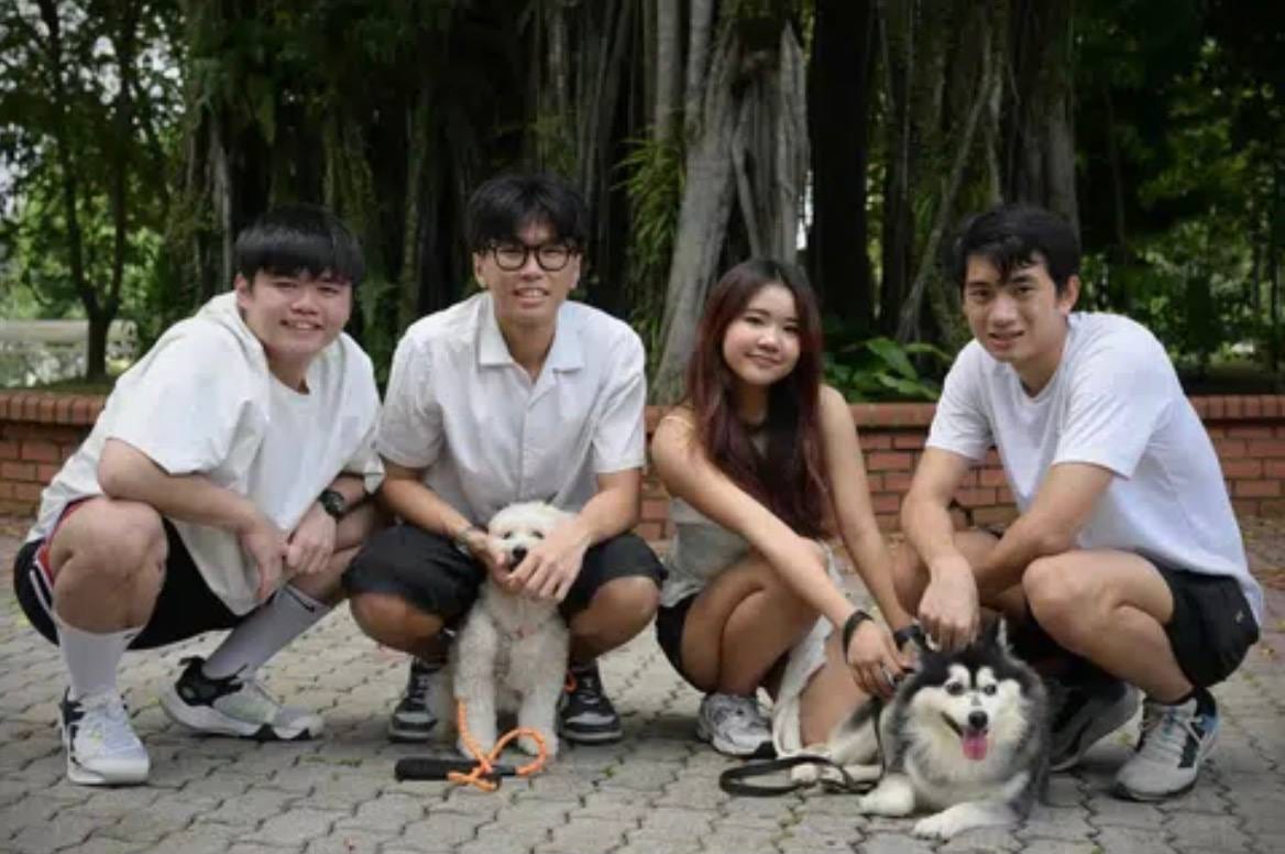Four people crouching with two dogs in a park, photo from The Straits Times article on Wagglo